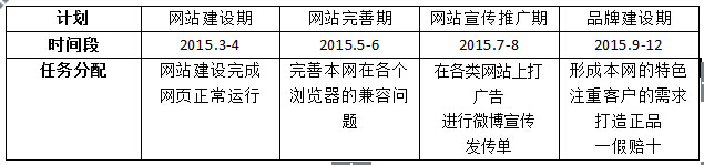 济南专业网站运营计划书
